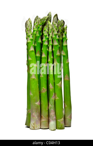 Bundle / bouquet asperges vertes, cut out isolé sur fond blanc. Charles Lupica Banque D'Images