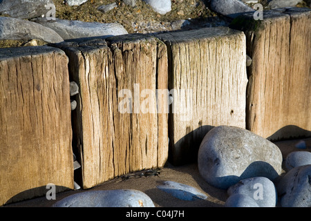 Close up d'un épi en bois sur la plage à l'Aberthaw, Nouvelle-Galles du Sud Banque D'Images