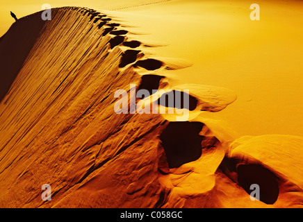 Empreintes sur dune de sable, désert du Sahara, l'Algérie Banque D'Images