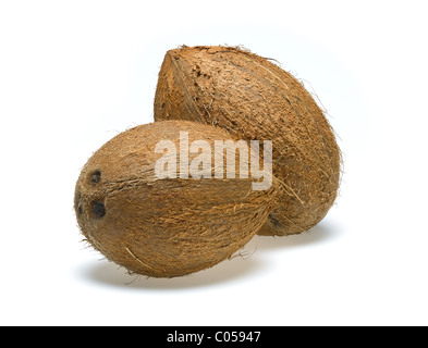 Coconut Banque D'Images