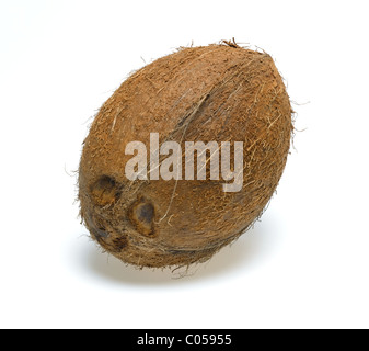 Coconut Banque D'Images