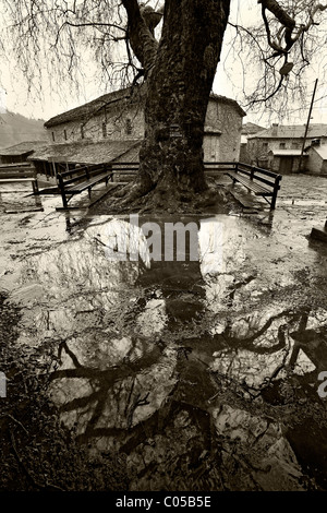 Partie de la place principale dans Gannadio village, l'un des 'Stone' dans les villages de la préfecture de Ioannina, l'Épire, Grèce Banque D'Images