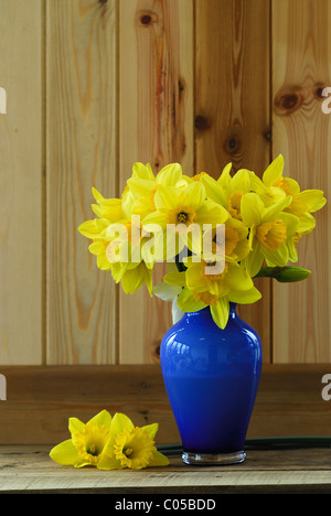 Un bouquet de jonquilles jaune dans un vase bleu avec un arrière-plan de cuisine pin sur la surface. Mars 2010 Banque D'Images