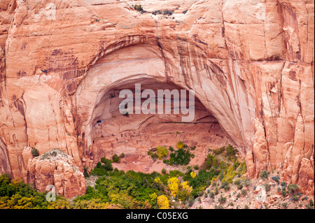 Navajo national monument Betatakin signifiant 'maison construite sur une corniche' c'est un exemple d'un Indien pueblo construit vers 1250 Banque D'Images