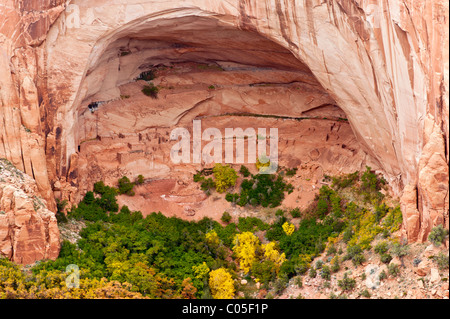 Navajo national monument Betatakin signifiant 'maison construite sur une corniche' c'est un exemple d'un Indien pueblo construit vers 1250 Banque D'Images