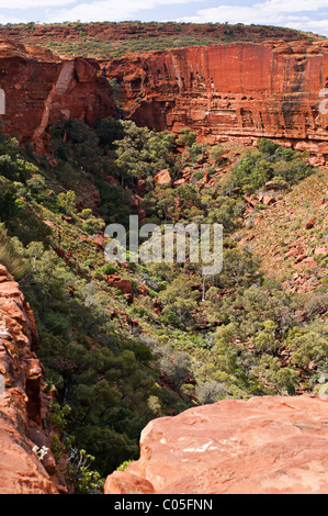 Kings Canyon, Australie Banque D'Images