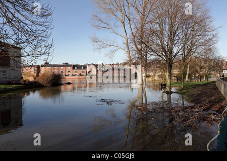 La rivière Severn à Shrewsbury au cours d'inondations chaque année pendant les mois d'hiver. Banque D'Images