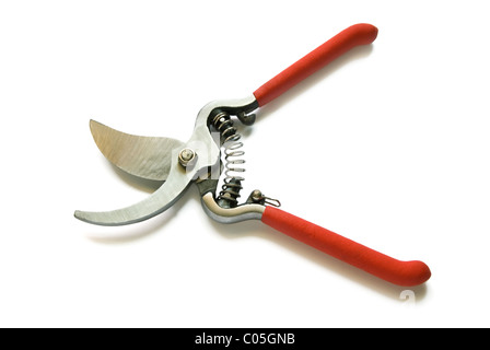 Ciseaux de jardin isolé sur fond blanc Banque D'Images