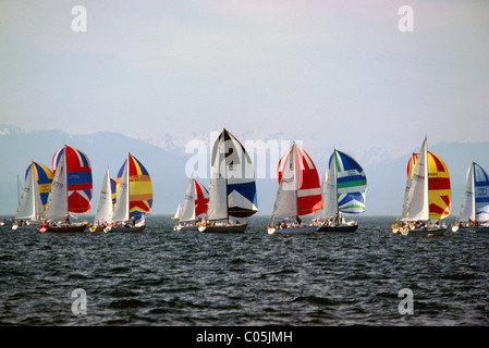 Bateaux à voile Voile en régate internationale Swiftsure, près de Victoria, en Colombie-Britannique, île de Vancouver, Colombie-Britannique, Canada Banque D'Images