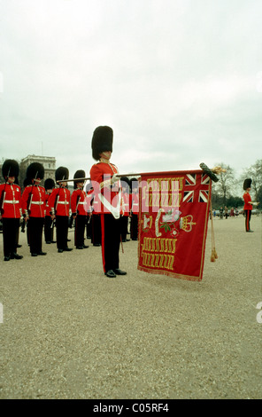 Scots Guards Parade la couleur à Horse Guards Parade Banque D'Images