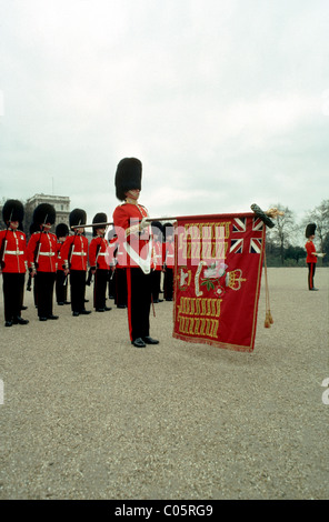 Scots Guards Parade la couleur à Horse Guards Parade Banque D'Images