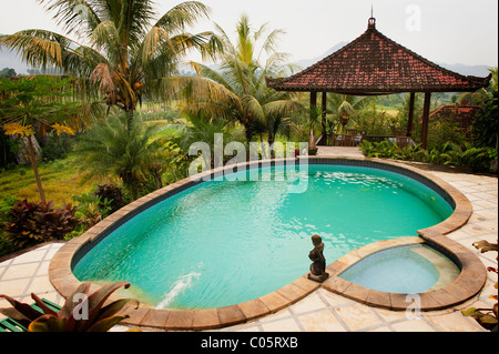 La piscine de la Villa Cepik dans le Sideman vallée de Bali, offre une vue panoramique sur les rizières en terrasse et des pics de montagne. Banque D'Images