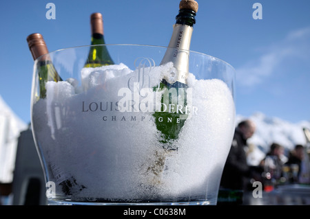Bouteilles de champagne Louis Roederer dans un seau à glace, 26. Saint-Moritz Polo World Cup on Snow, Saint-Moritz, Upper Engadine, Engadine Banque D'Images