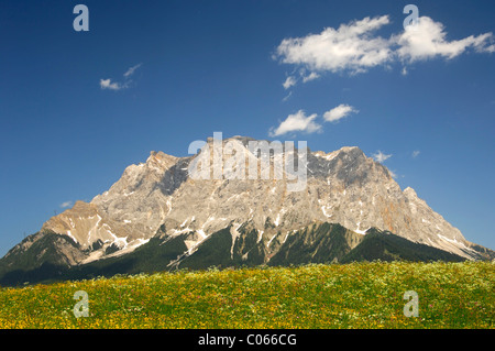 Prairie en fleurs au pied de la montagnes de Wetterstein avec la Zugspitze, Ehrwald, Tyrol, Autriche, Europe Banque D'Images