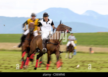 Max de Bosch, Porsche Équipe joueurs luttant pour la balle, polo, joueurs, tournoi de polo Banque D'Images