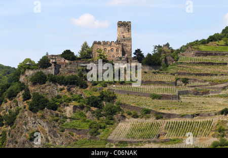 Château Gutenfels près de Kaub, Rhénanie-Palatinat, Allemagne, Europe Banque D'Images