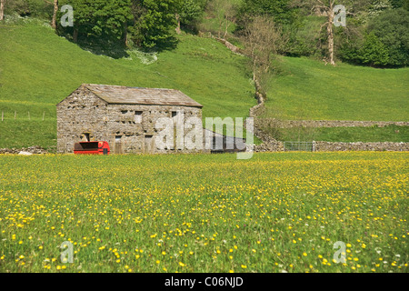 Flower meadow avec grange sur le terrain dans la région de Swaledale, Yorkshire Dales National Park. Banque D'Images