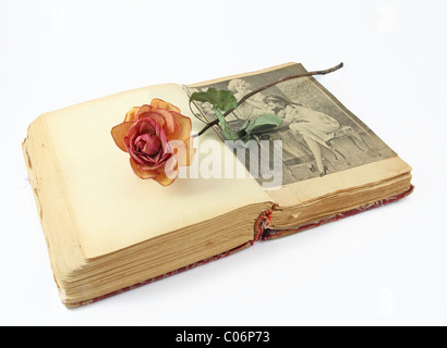 Rose séché sur un livre ancien, publié en 1925 Banque D'Images