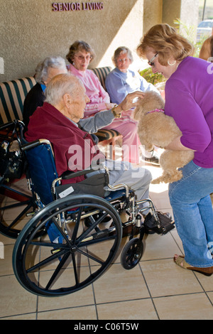 Une femme bénévole de bienfaisance introduit un chien de thérapie d'un patient dans une maison de retraite à Mission Viejo, en Californie. Banque D'Images