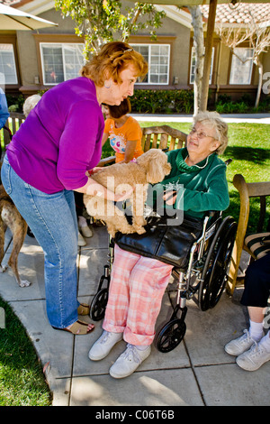 Une femme bénévole de bienfaisance présente son chien de thérapie d'un patient dans une maison de retraite à Mission Viejo, en Californie. Banque D'Images