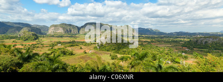 Cuba, Pinar del Rio, la région de Valle de Viñales Vinales (zone). Mogotes calcaires forment la toile de fond des champs de maïs et de tabac. Banque D'Images