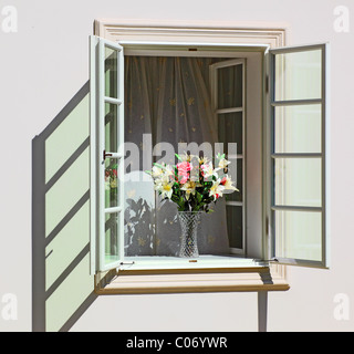 Fleurs dans un pays ouvert window Banque D'Images
