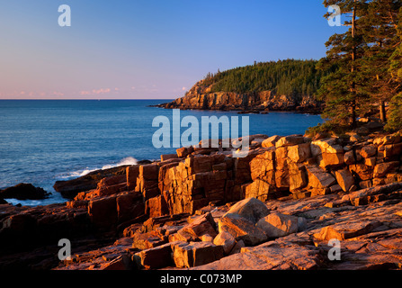 Premiers rayons de l'aube le long des falaises de la loutre dans l'Acadia National Park, Maine USA Banque D'Images