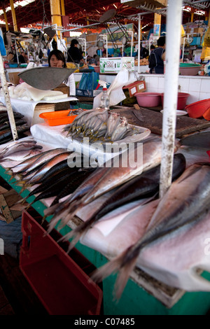 Arequipa, Peru's Mercado de San Camilo, ou San Camilio marché, où les produits de partout dans le sud du Pérou peut être vu. Banque D'Images