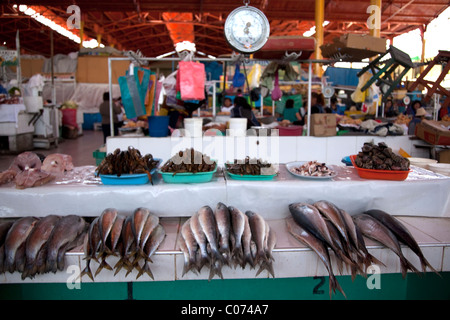 Arequipa, Peru's Mercado de San Camilo, ou San Camilio marché, où les produits de partout dans le sud du Pérou peut être vu. Banque D'Images