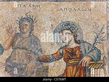 Mosaïque dans la maison d'Aion, colonie romaine, d'excavation, Paphos, dans le sud de Chypre, la partie grecque de l'île, le sud de l'Europe Banque D'Images