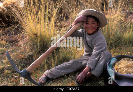 Petit garçon du peuple autochtone Quechua, sur 9 ans, avec pioche au bord d'un champ, le Pérou, Amérique du Sud Banque D'Images