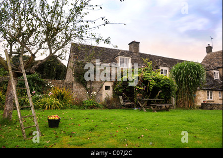 Cotswold House et un jardin avec un pommier en automne UK Banque D'Images