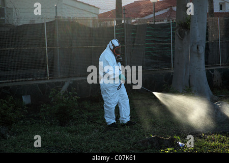 Les mauvaises herbes la pulvérisation de pesticides dans un parc, Maspalomas, Gran Canaria. Banque D'Images