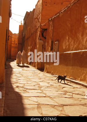 L'Algérie, Ben Isguen, deux personnes marchant dans des vêtements traditionnels sur alley cat au premier plan Banque D'Images