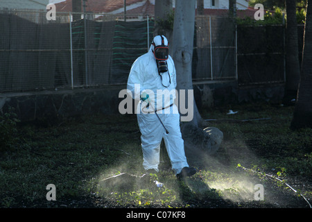 Les mauvaises herbes la pulvérisation de pesticides dans un parc, Maspalomas, Gran Canaria. Banque D'Images