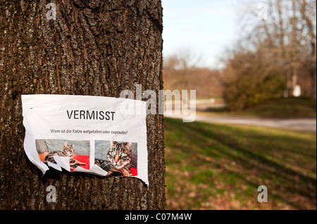 Morceau de papier attaché à un arbre, chat manquant, en langue allemande Banque D'Images