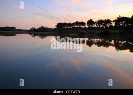 Lac avec rangée de pins au coucher du soleil. Banque D'Images