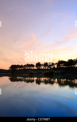 Lac avec rangée de pins au coucher du soleil. Banque D'Images