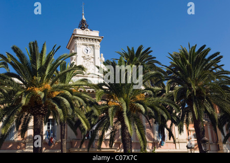 Palmiers à l'extérieur de l'hôtel de ville, Place Marechal Foch, Ajaccio, Corse, France, Europe Banque D'Images