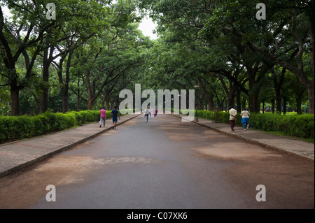 En passant par un parc, Cubbon Park, Bangalore, Karnataka, Inde Banque D'Images