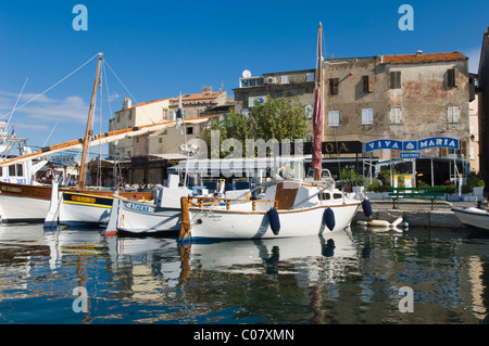 Bateaux de pêche dans le port, Saint Florent, Nebbio, Corse, France, Europe Banque D'Images