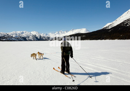 L'homme le skijoring, traîneau à chiens tirant la fondeuse, dog sport, Huskies d'Alaska, le lac Lindeman, montagnes derrière Banque D'Images