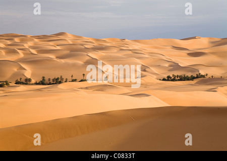 Um El Ma Oasis et dunes de sable, Désert de Libye, Maroc, Sahara, Afrique du Nord, Afrique Banque D'Images