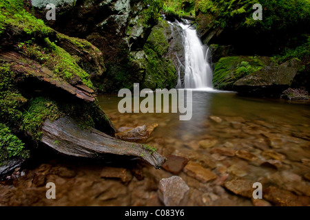 Cascade dans Lotenbach Glen près de Wutach Gorge, dans la Forêt-Noire, Bade-Wurtemberg, Allemagne, Europe Banque D'Images