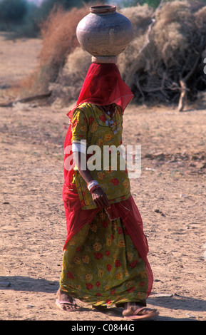 Jeune femme en sari avec cruche d'eau, désert de Thar, Rajasthan, Inde, Asie Banque D'Images