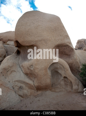 Skull Rock, une formation géologique dans la région de Joshua Tree National Park, California, USA Banque D'Images