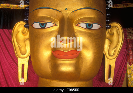 Les yeux de bouddha, chef de la statue de Bouddha dans le palais royal de Shey, Ladakh, Himalaya, dans le nord de l'Inde, l'Asie Banque D'Images