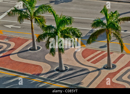 La conception des trottoirs sur Biscayne Boulevard dans le centre-ville de Miami, Floride, USA Banque D'Images