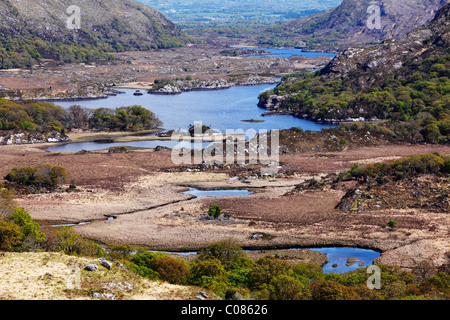 Ladies View, le lac Supérieur, le Parc National de Killarney, County Kerry, Ireland, British Isles, Europe Banque D'Images