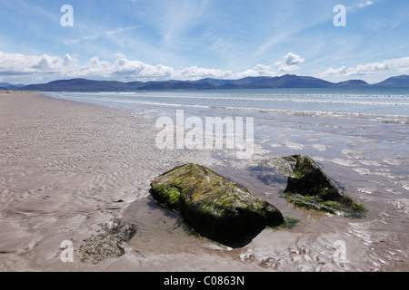 Inch beach, la baie de Dingle, péninsule de Dingle, comté de Kerry, Ireland, British Isles, Europe Banque D'Images